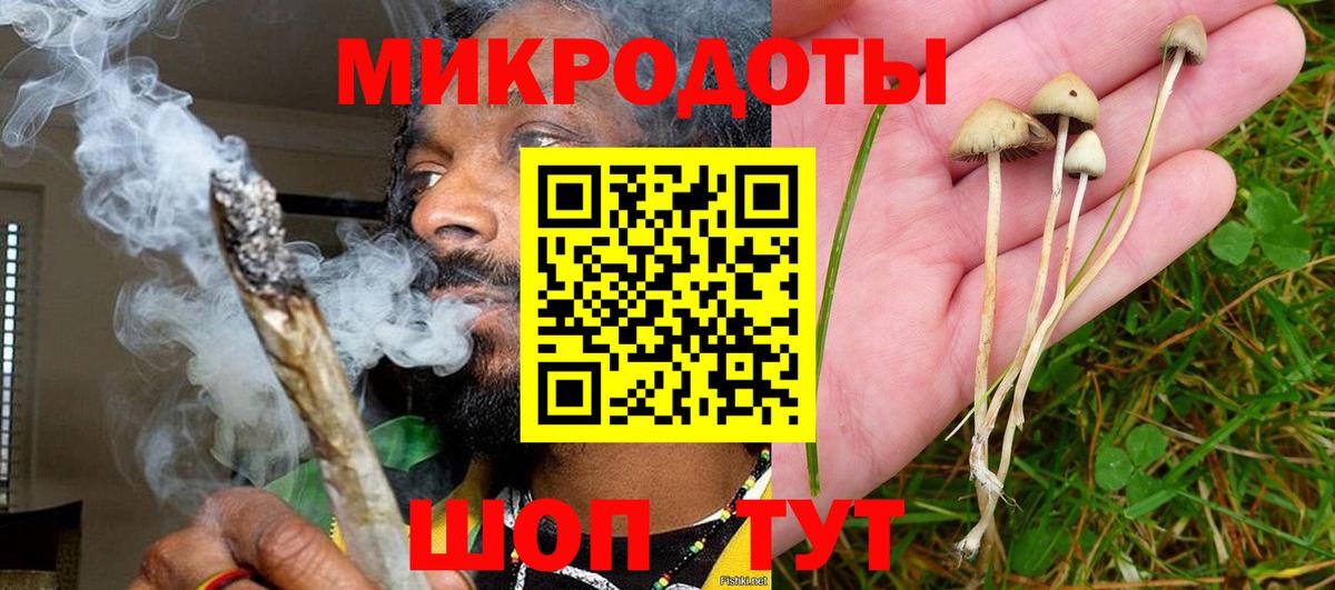Псилоцибиновые грибы GOLDEN TEACHER  купить наркоту  Нягань  Вход с VPN  Псилоцибиновые грибы Psilocybine cubensis 